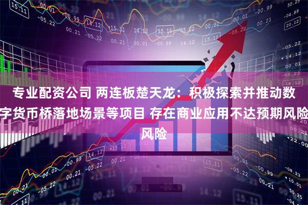 专业配资公司 两连板楚天龙：积极探索并推动数字货币桥落地场景等项目 存在商业应用不达预期风险